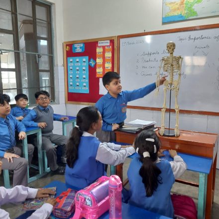 Presentation of Skeleton